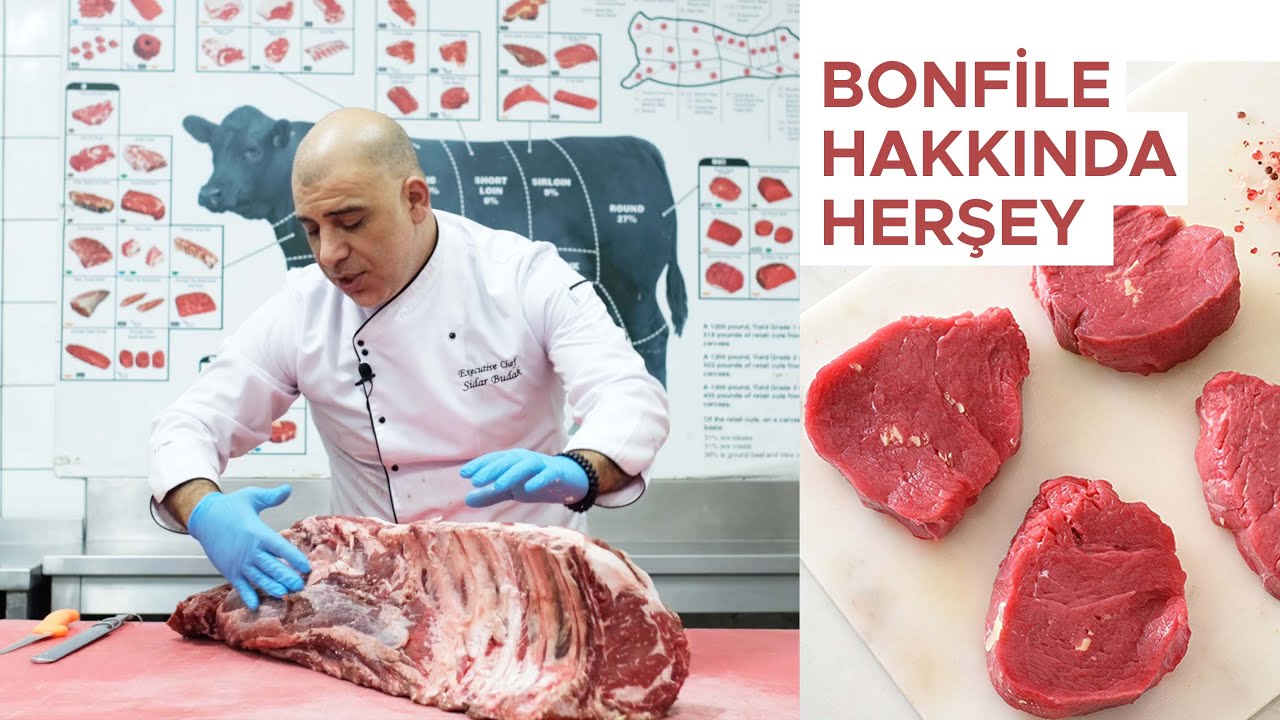 Bonfile Hakkında Herşey