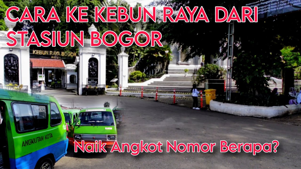 CARA KE KEBUN RAYA BOGOR DARI STASIUN BOGOR | Naik Angkot Nomor Berapa?