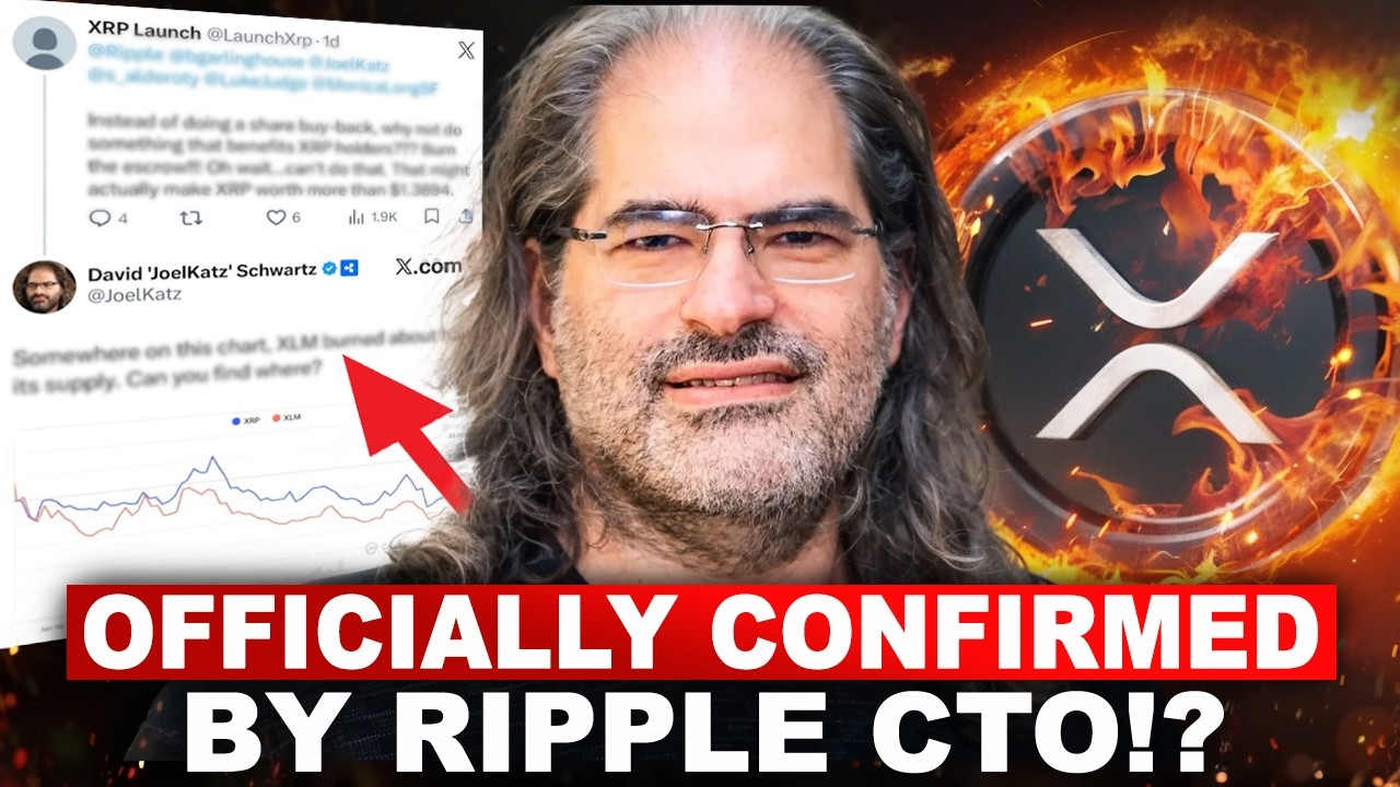 Он только что уничтожил XRP ядерным оружием. (Официально подтверждено техническим директором Ripple)
