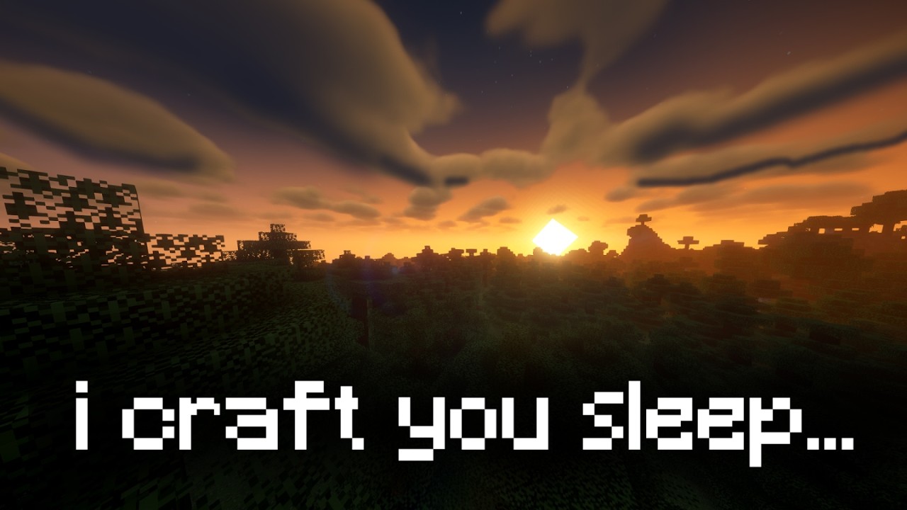 I play Minecraft, you sleep