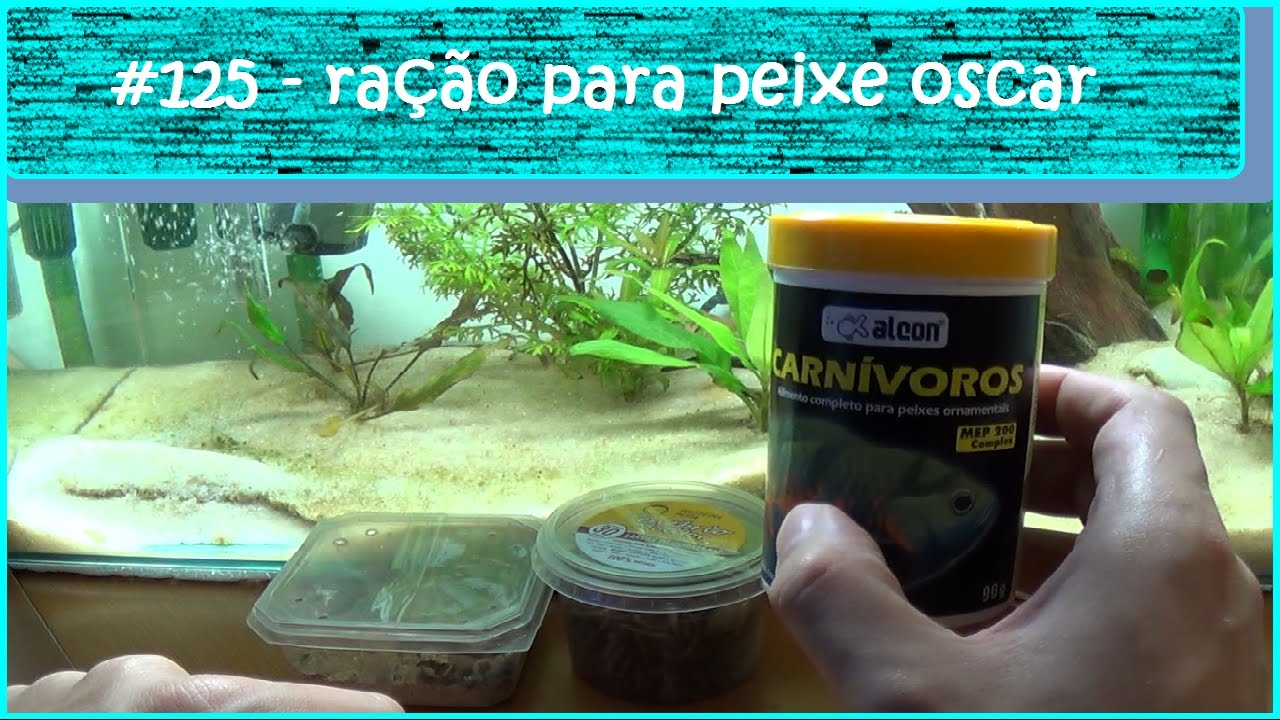 Ração para o peixe oscar