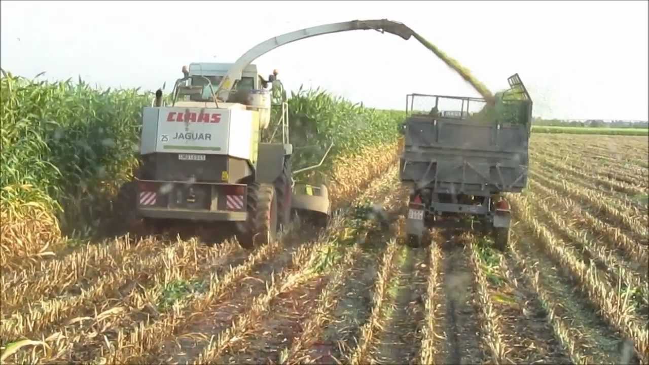 Ciszöv 49 KFT Cibakháza 2012 Silózás *HUNGARY* [ Claas Jaguar 850, Fendt 310 Vario ] HD