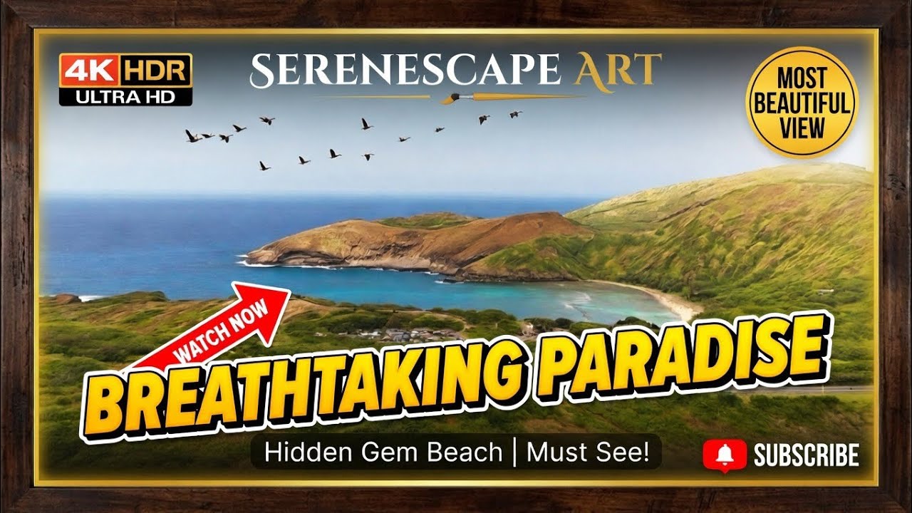Scenic Bay Vista: Migrating Birds over Coastal Cliffs | Wallpaper TV Art | TV Screensaver
