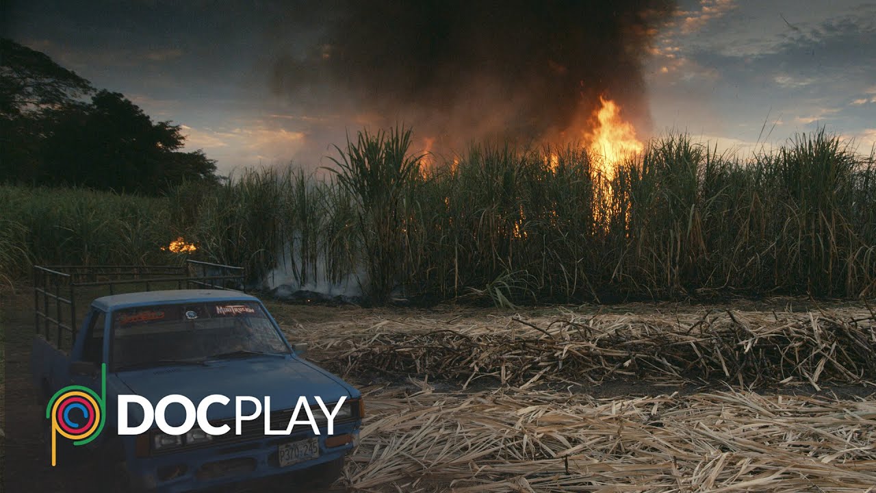 This Changes Everything | Official Trailer | DocPlay