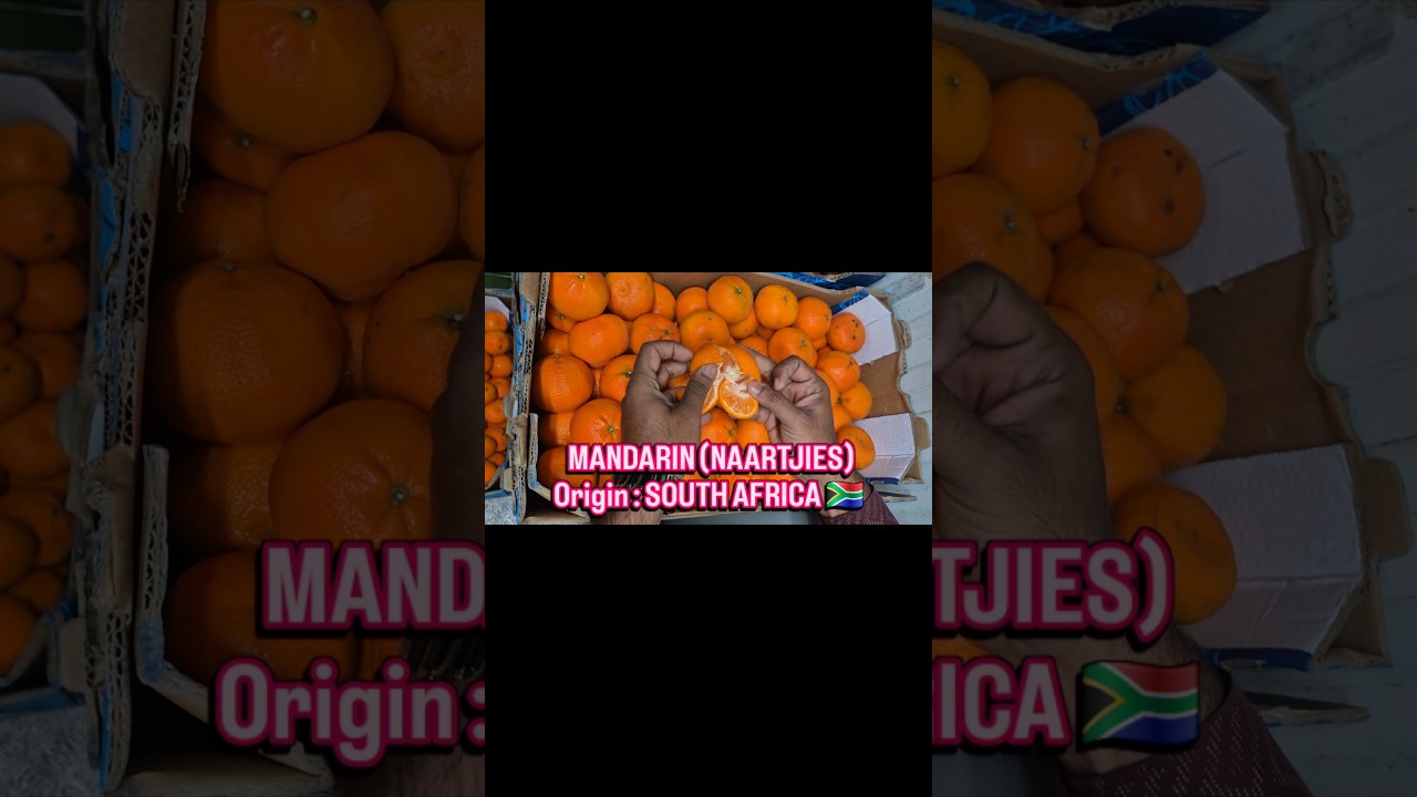 EASY PEEL OF SOUTH AFRICA MANDARIN #viral #trending #wakawaka #southafrica #explore #healthy #citrus