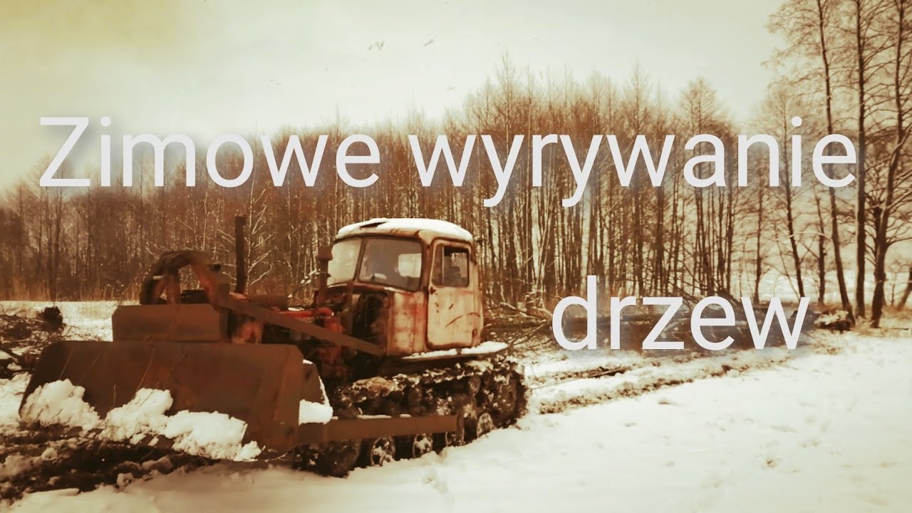 Det w akcji, czyli zima 2021 - wyrywanie drzew🌴🚂
