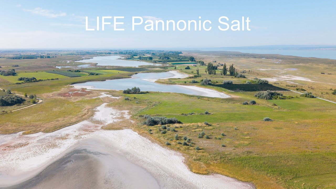 LIFE Pannonic Salt