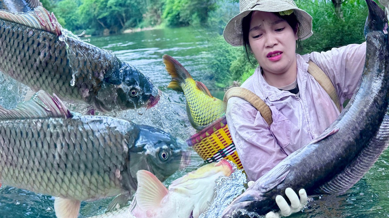 Traditional Fishing Skills - Giant Fish Fishing for Survival in the dense stream