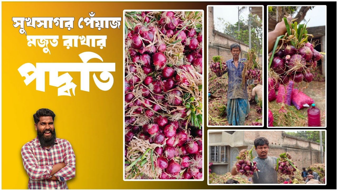সুখসাগর পেঁয়াজ । পেঁয়াজ মজুত রাখার নিয়ম । পেঁয়াজ কি ভাবে ঝুলিয়ে রাখে । ঝুলানো পেঁয়াজ । Onion ।