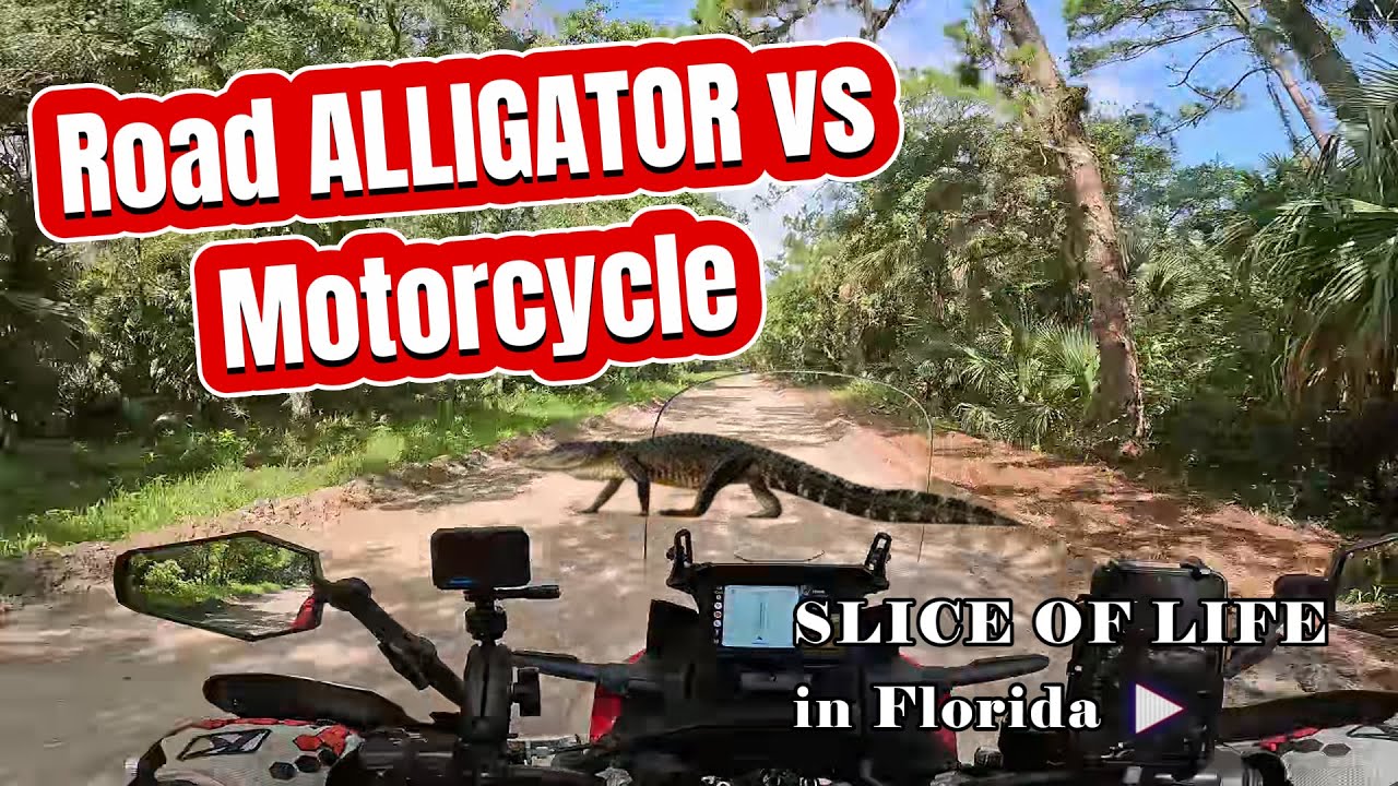 Alligator Express: The Wildest Motorcycle Adventure 