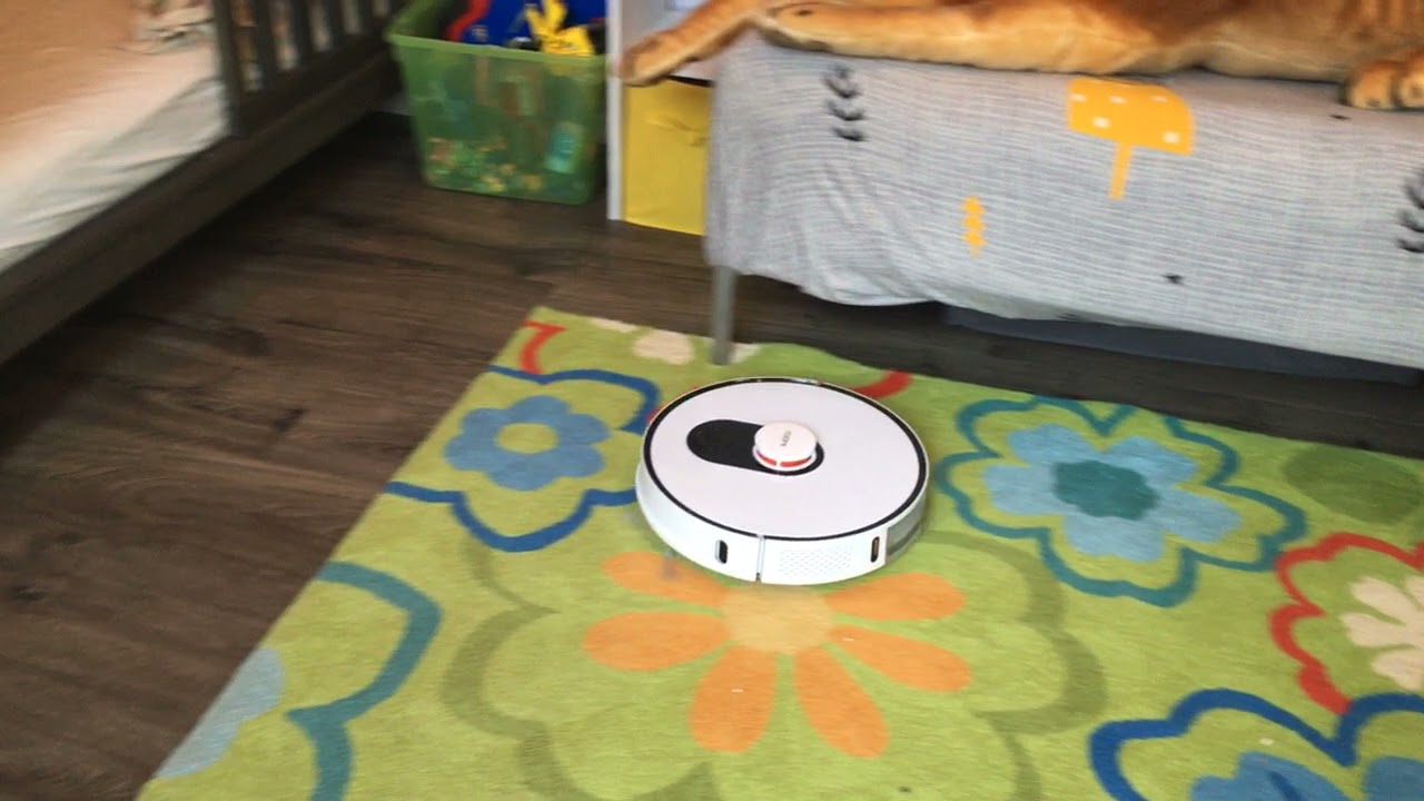 Roidmi Eve Plus Vacuuming
