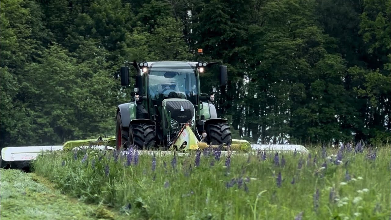 Cabview | Mowing grass | Fendt 516 Vario, Claas Disco 3200F & Claas Disco 850