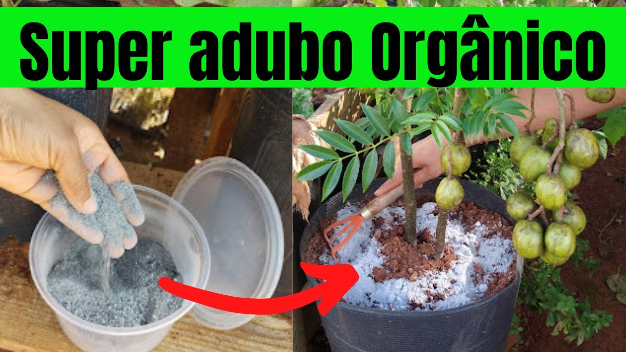 Adubo Orgânico Rico em FÓSFORO, Faça em Casa mesmo e turbine suas plantas