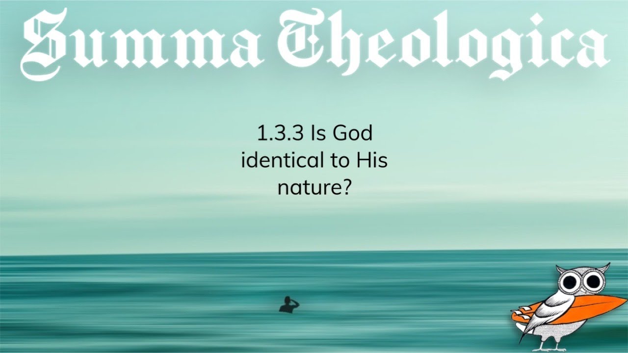 Is God identical to His nature?