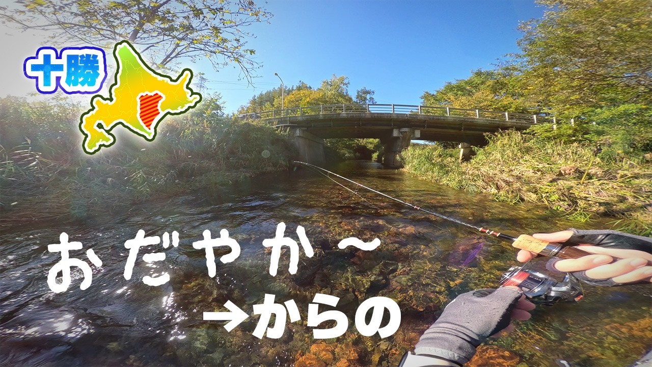 増水の記憶が嘘のような秋の渓。静寂を破る突然のヒット！【北海道渓流釣り】