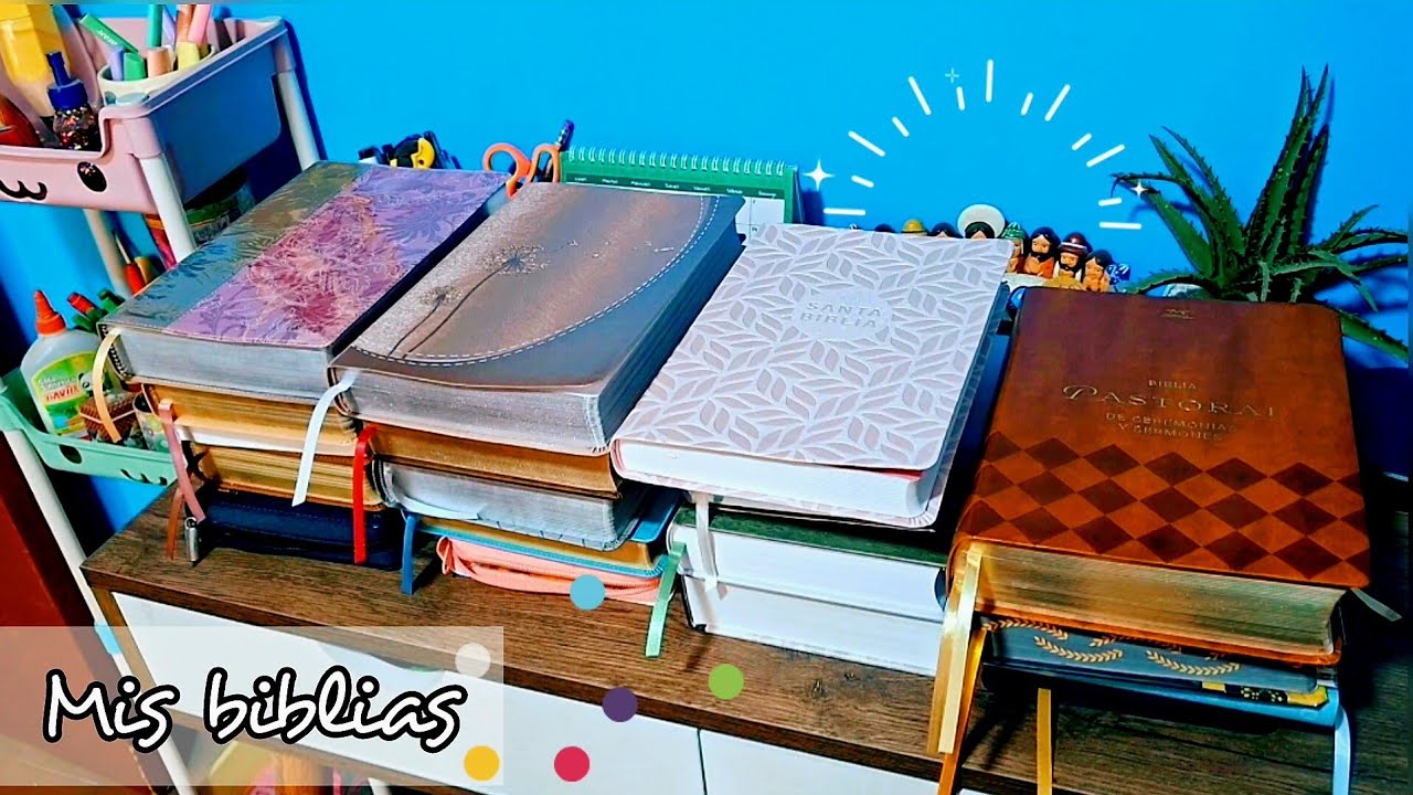Mis biblias - 33