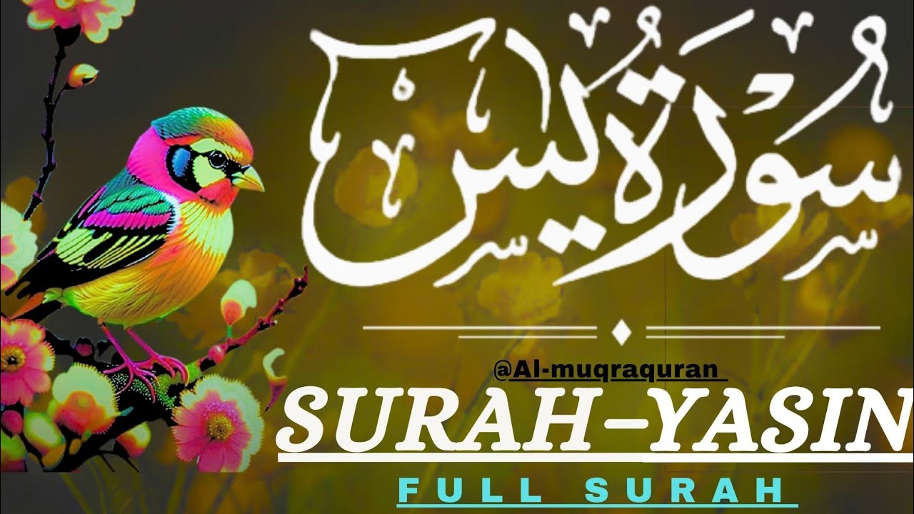 Surah Yaseen (Yasin) | EP 42| Beautiful and Heartfelt Quran Recitation | Al Muqra