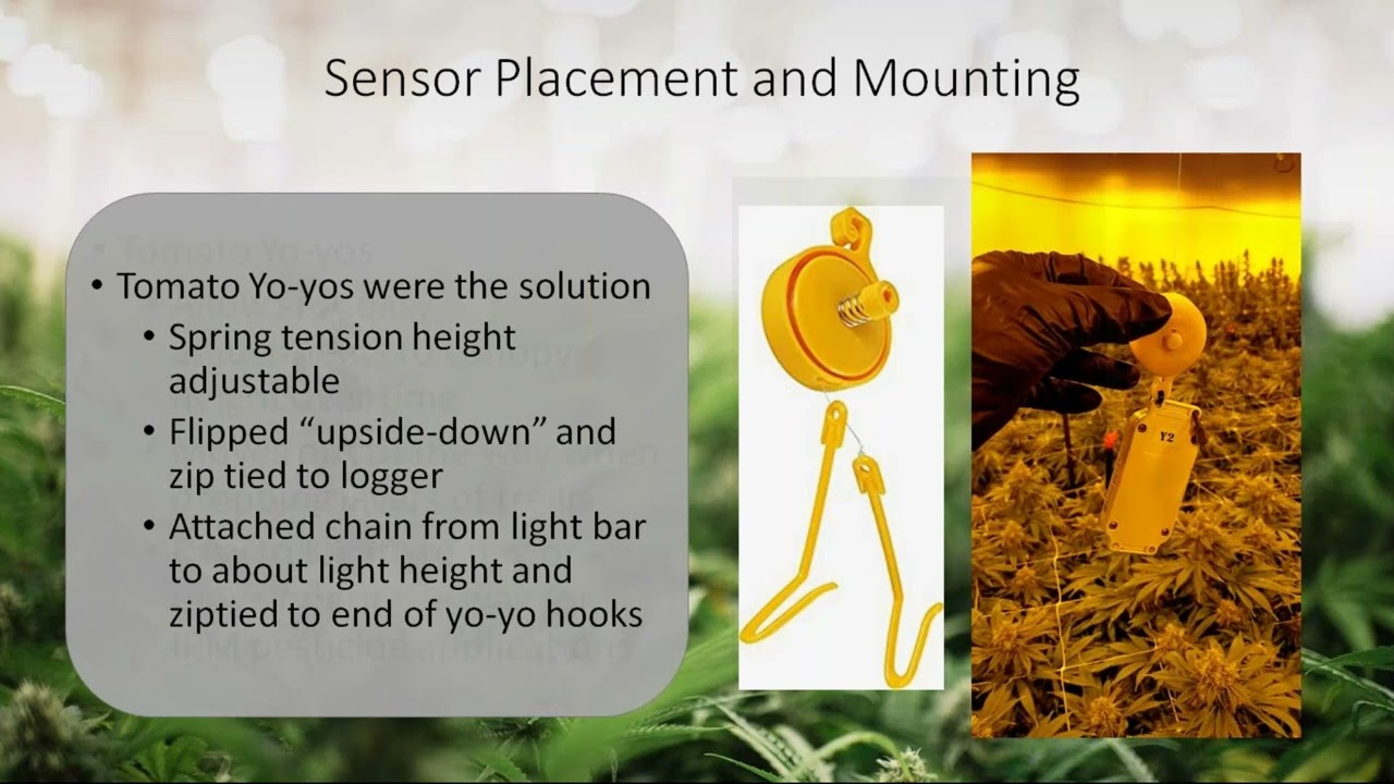 Thought Leader Webinar  Using IoT Monitoring Tools to Optimize and Protect Cannabis Crops