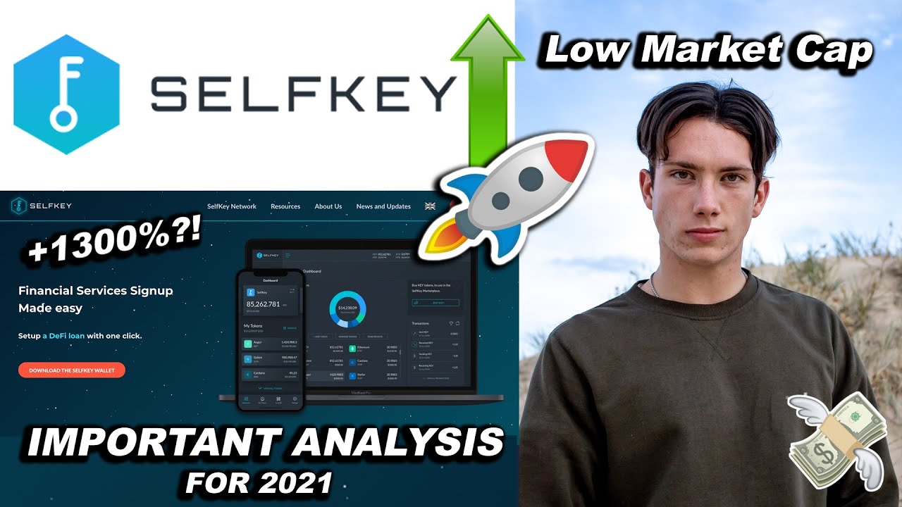 SELF KEY COIN: Is It a GOOD Long Term Investment? - Crypto Portfolio Update & Self Key Analysis