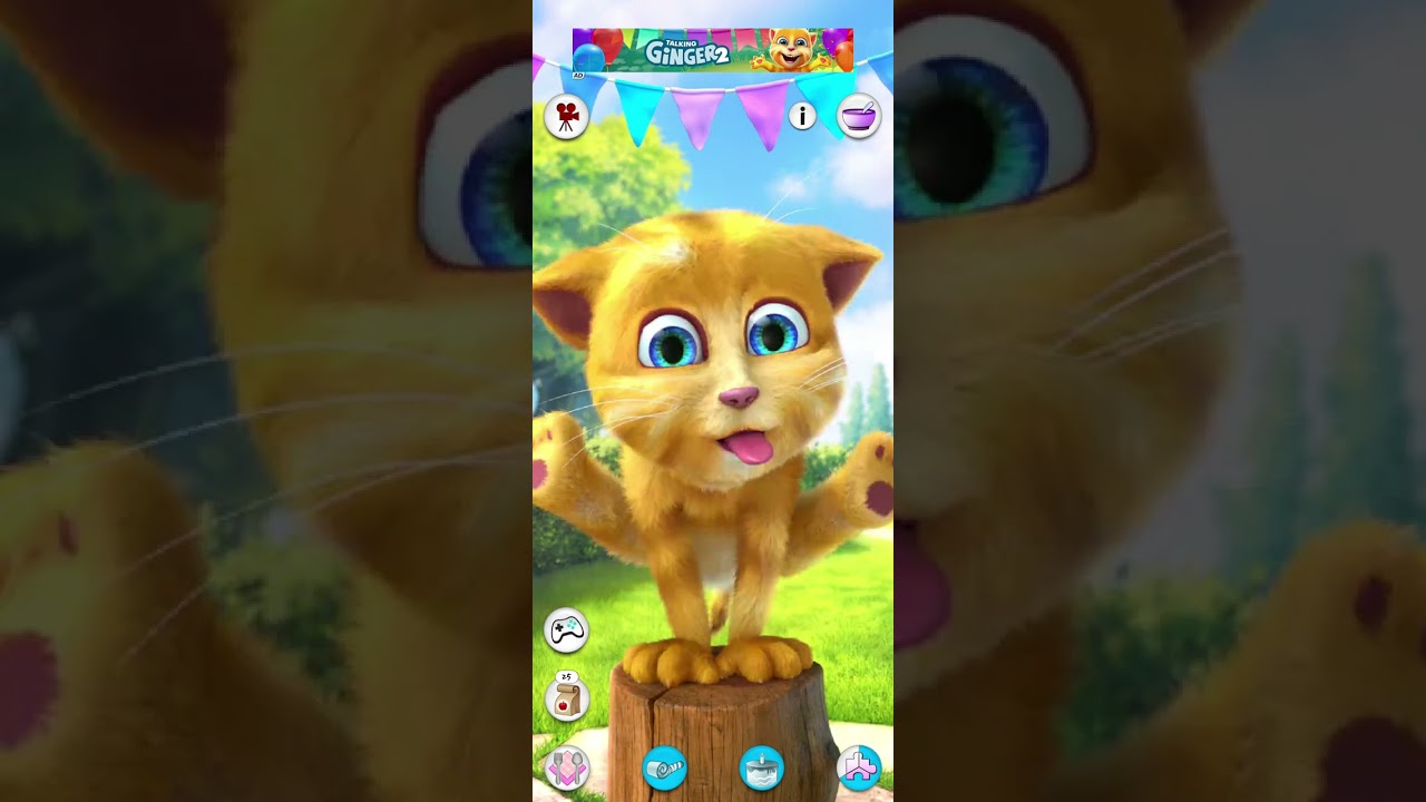 Talking Tom Cat Funny Gameplay
