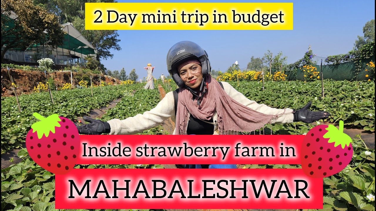 An unforgettable 2-day adventure to MAHABALESHWAR | Mapro Garden