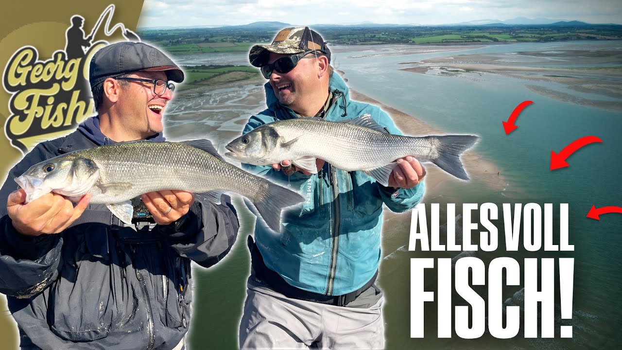 Wolfsbarsche satt in Irland! Spinn- & Fliegenfischen vom Strand & Boot / Georg goes Fishing 🎣