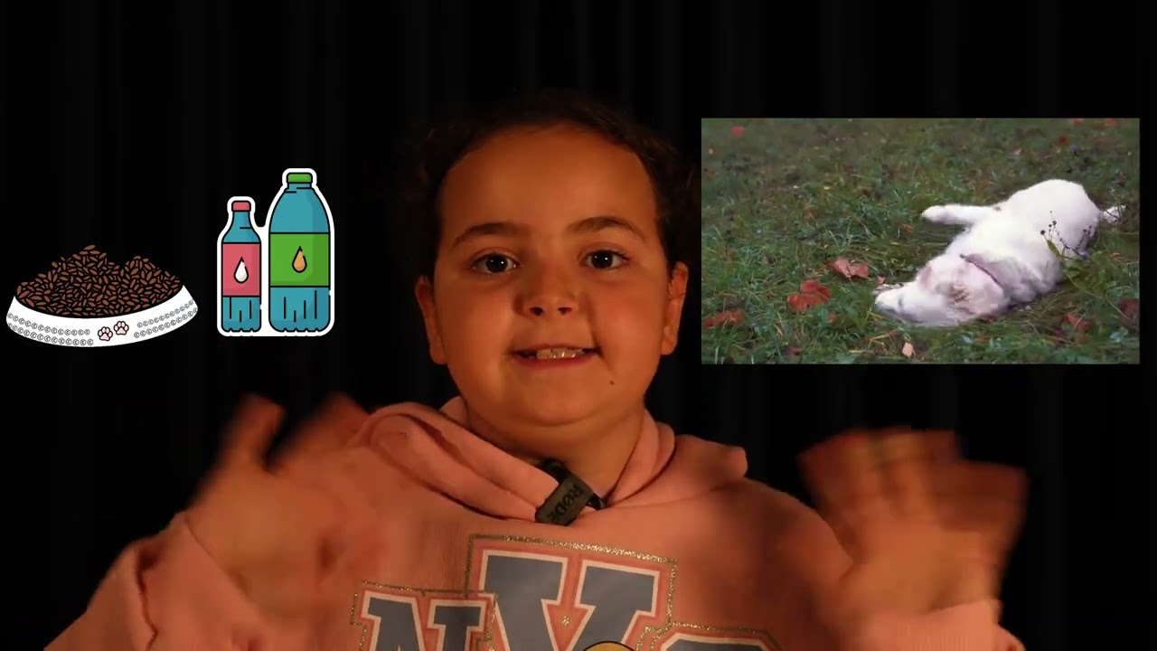 Süper Kahraman Defne - Sokak Hayvanları Kışın Üşür Mü?