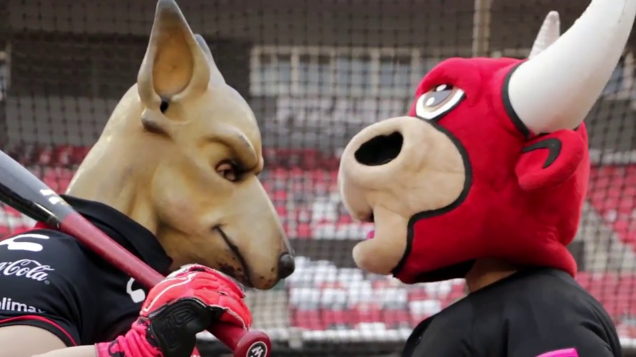 XOLOMAYOR VS TORO TORÍN