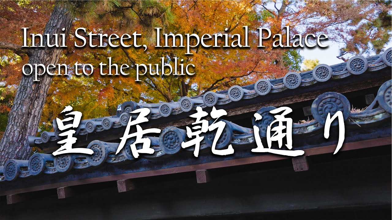 【160】皇居乾通り 紅葉｜Autumn Opening of Inui Street to the Public at the Imperial Palace