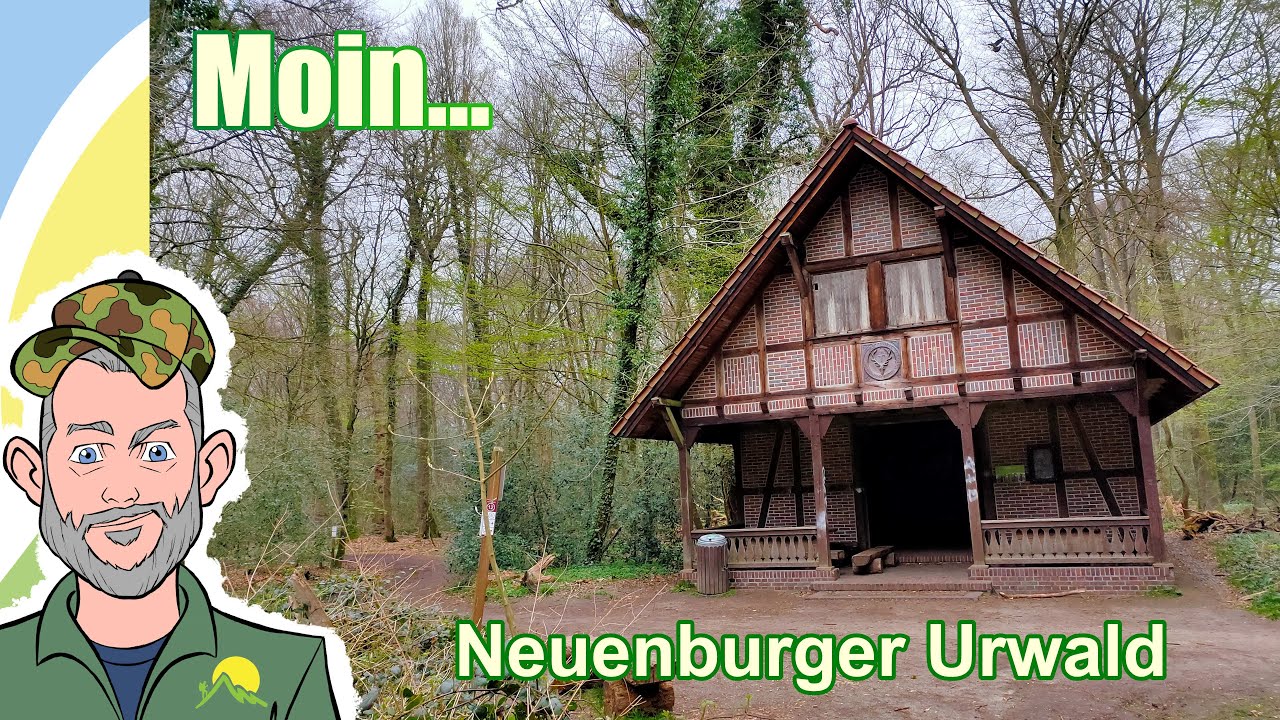 Friesland - unterwegs im Neuenburger Urwald. #unterwegsmitralf