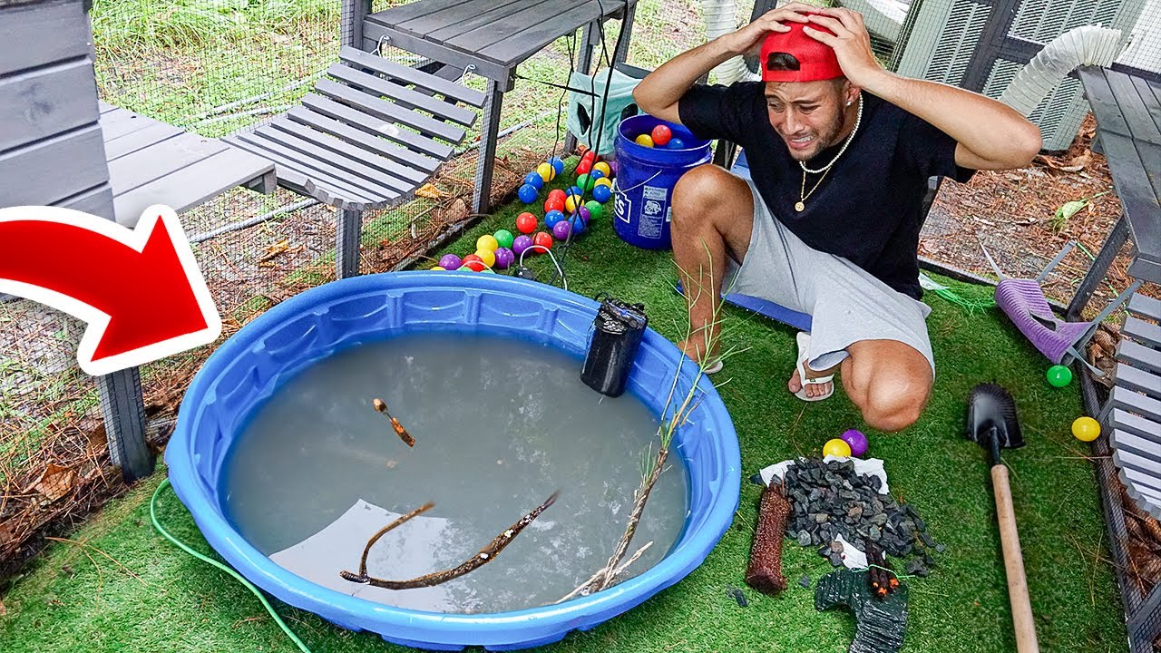 FURACÃO ESTRAGOU LAGO que FIZ pra TARTARUGA BEBÊ de CASCO MOLE
