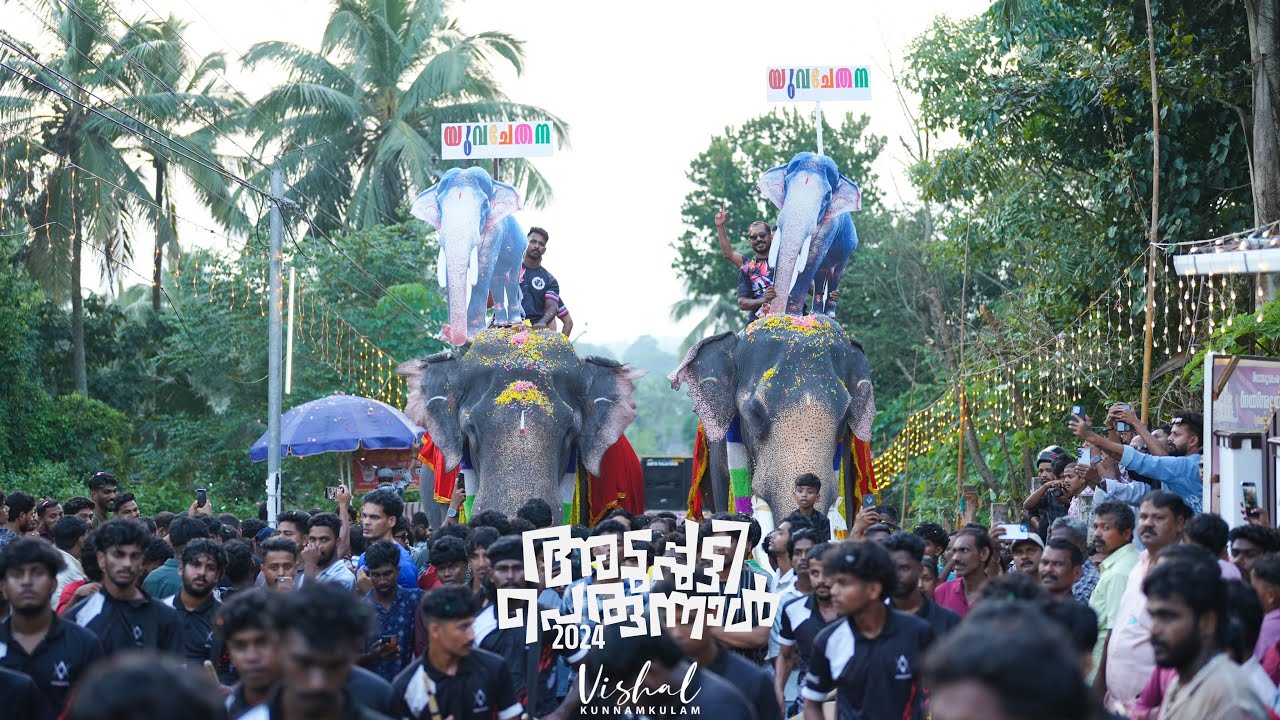 അടുപ്പുട്ടി പള്ളി പെരുന്നാൾ 2024 ഗജവീരന്മാർക്ക്‌ സ്വീകരണം | ADUPPUTTY PALLI PERUNNAL 2024