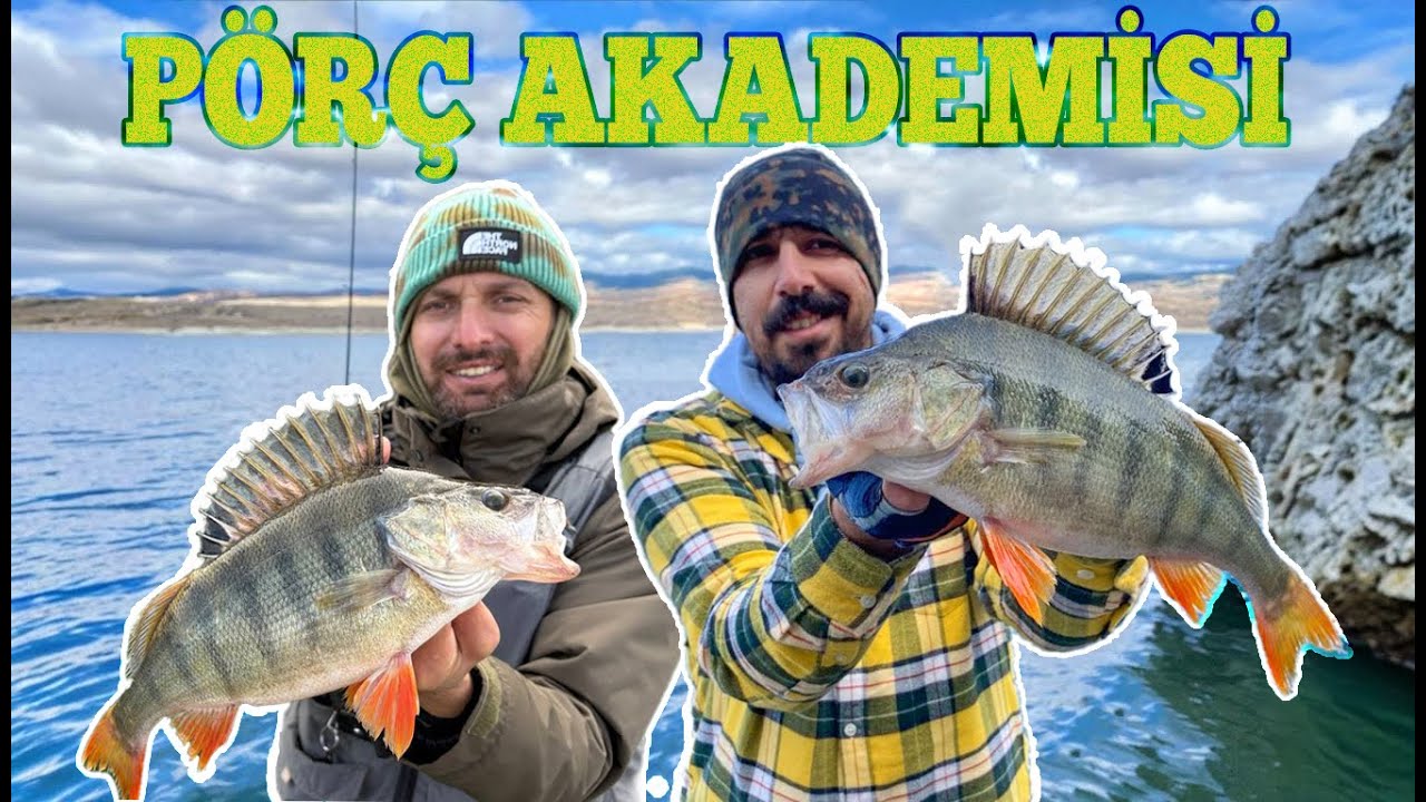 Ankara Perch Avı 2025 🐠 |Pans Marine P355| ‪Winter Perch Fishing 2025