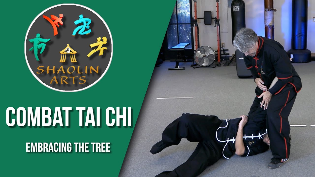 Combat Tai Chi Fighting - Embracing the Tree