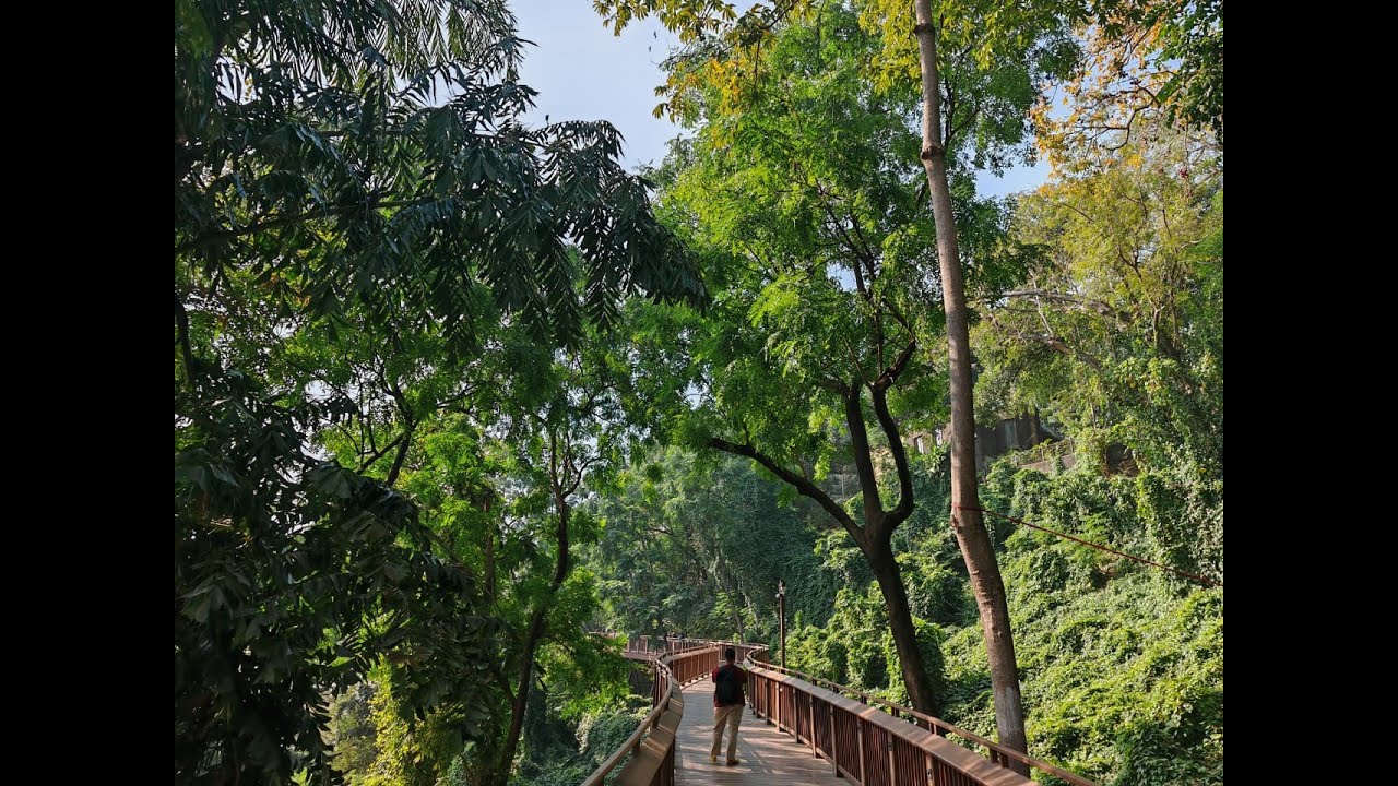 3 endroits secrets pour s’échapper du bruit et de la foule à Mumbai
