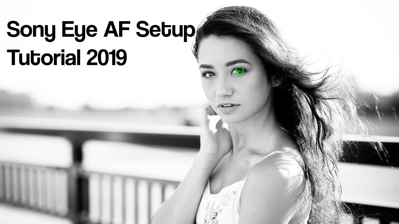 Учебное пособие по настройке Sony Eye AF (2019)