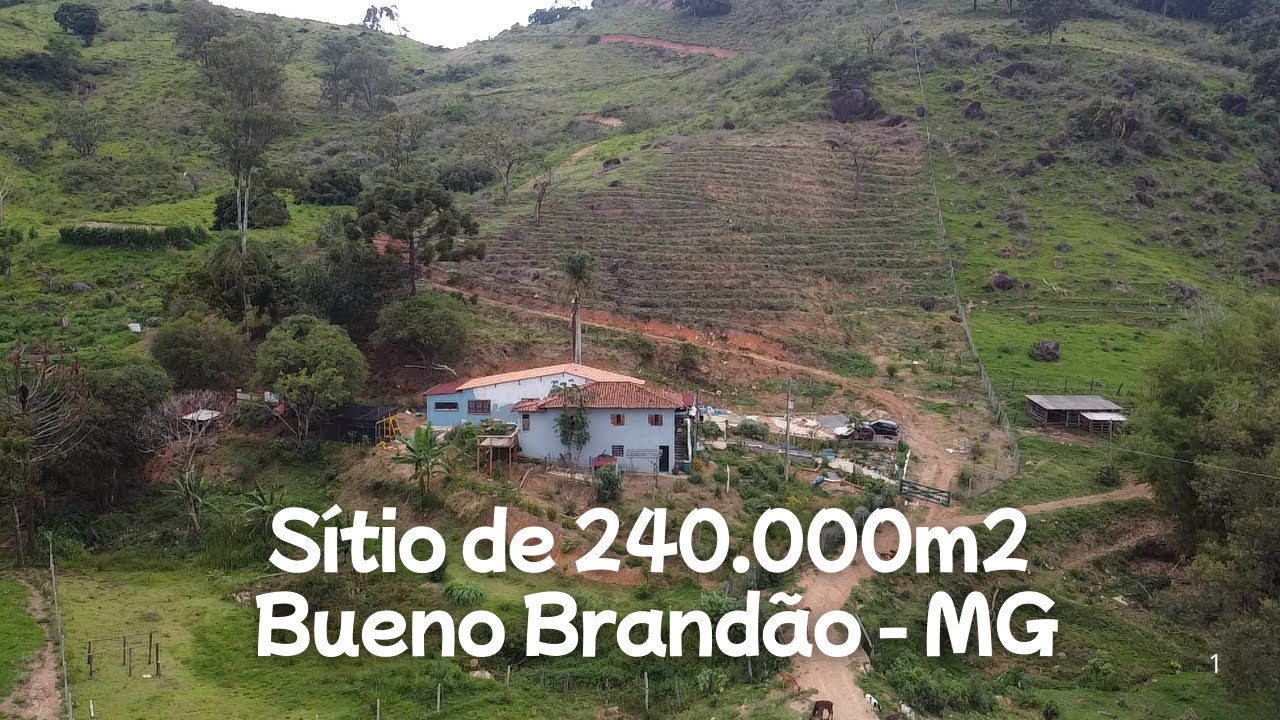 Com 4 NASCENTES, 2 platôs. IDEAL para Café e Gado - Serras Verdes do Sul de Minas.