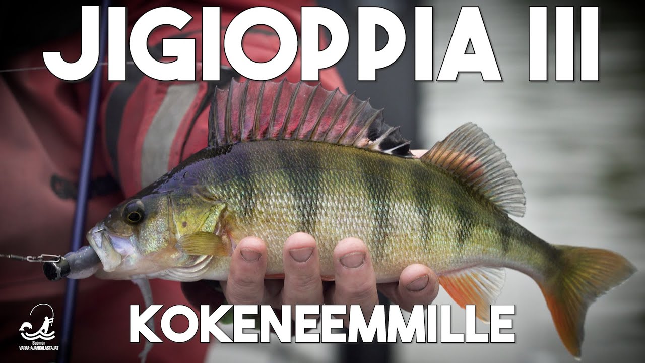 Jigioppia III   Kokeneemmille