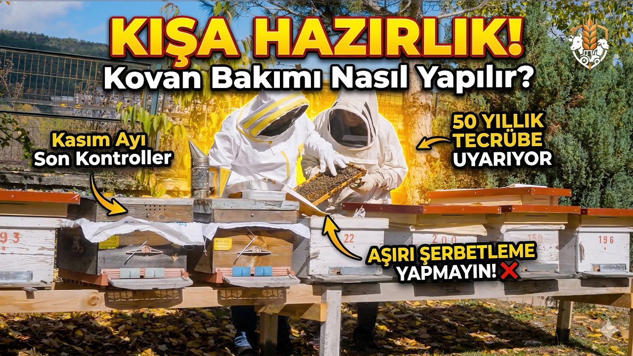50 Yıllık Arıcıdan Kışlatma Sırları 🐝 | Tüm Detaylarıyla Kovan Bakımı
