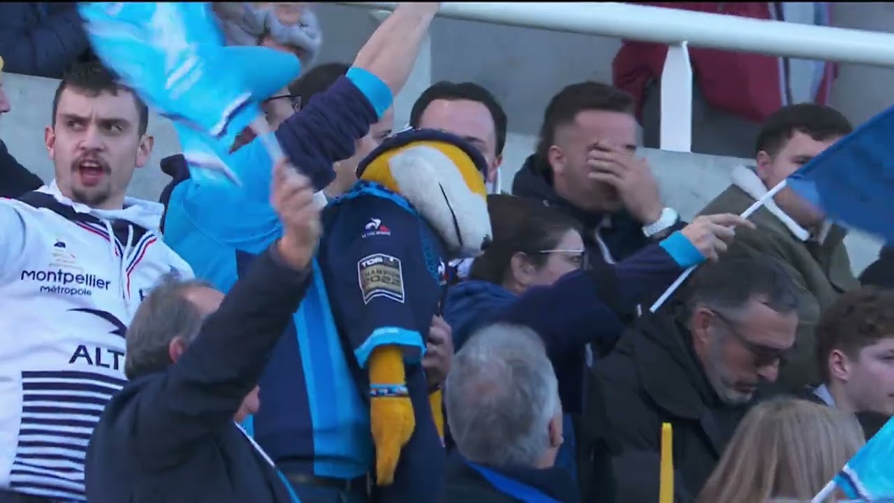 TOP 14 - Essai de Ricky RICCITELLI (MHR) - Section Paloise - Montpellier H&eacute;rault Rugby