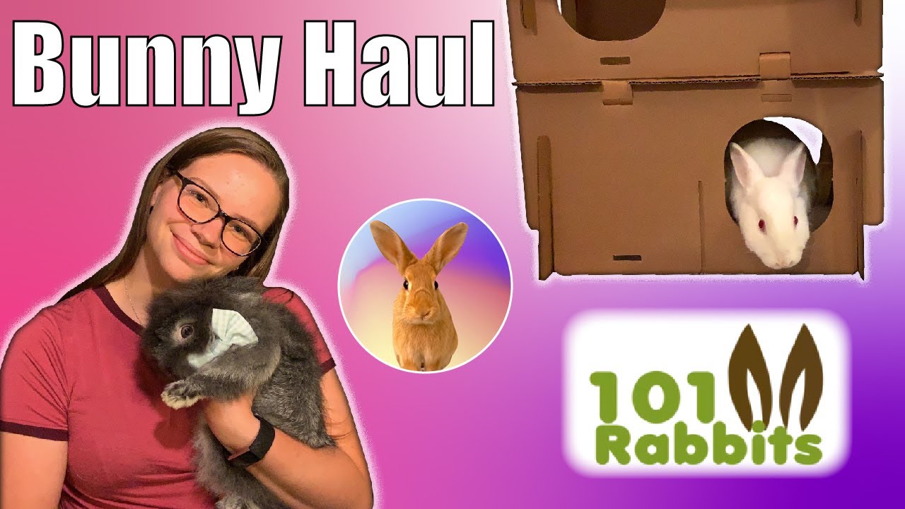 BUNNY HAUL: Unboxing 101Rabbits and BunitosBunnyBooth Etsy Packages | Rabbit Review