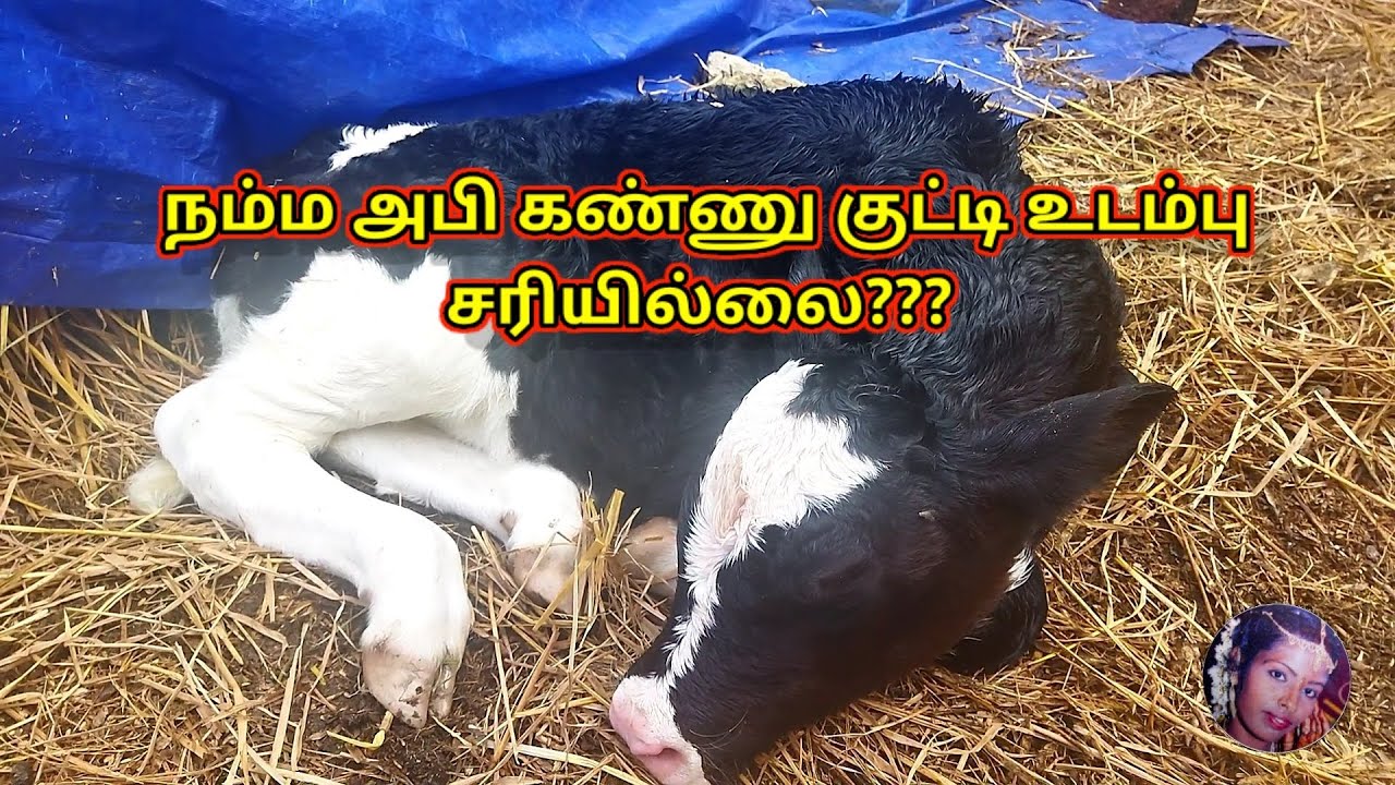 நம்ம அபி கண்ணு குட்டி உடம்பு சரியில்லை???