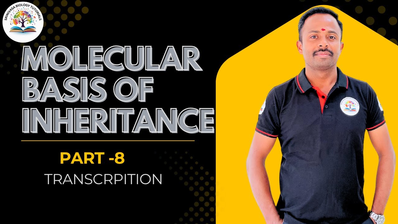 MOLECULAR BASIS OF INHERITANCE
