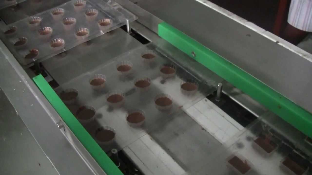 Semi Automatic Chocolate Moulding Machine (depositing chocolate in moulds)