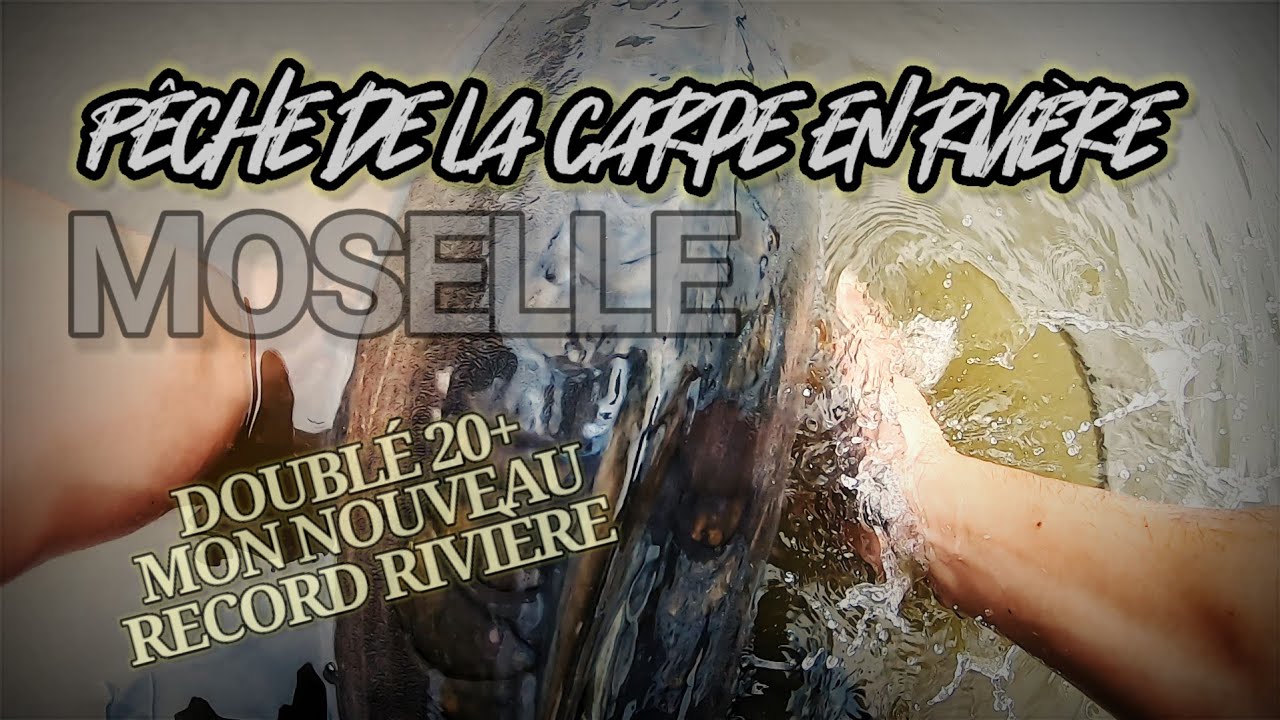 Pêche de la carpe en rivière vol30