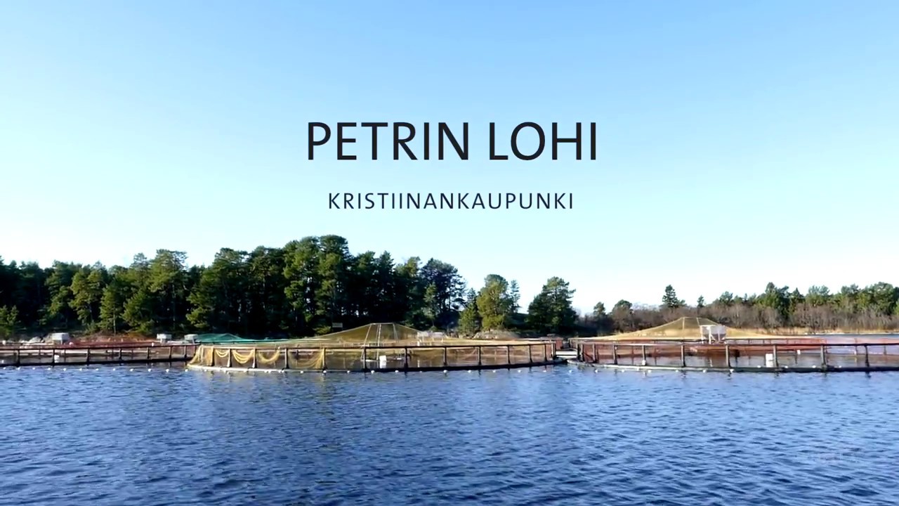 Benella Petrin Lohi