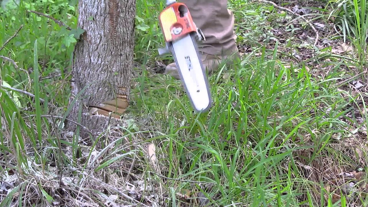 Stihl KM 56 RC Kombi System