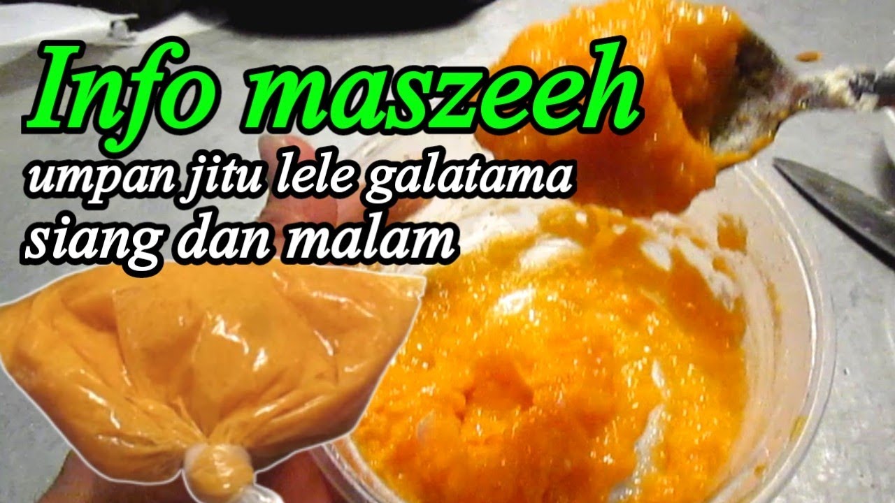 umpan lele paling jitu siang dan malam