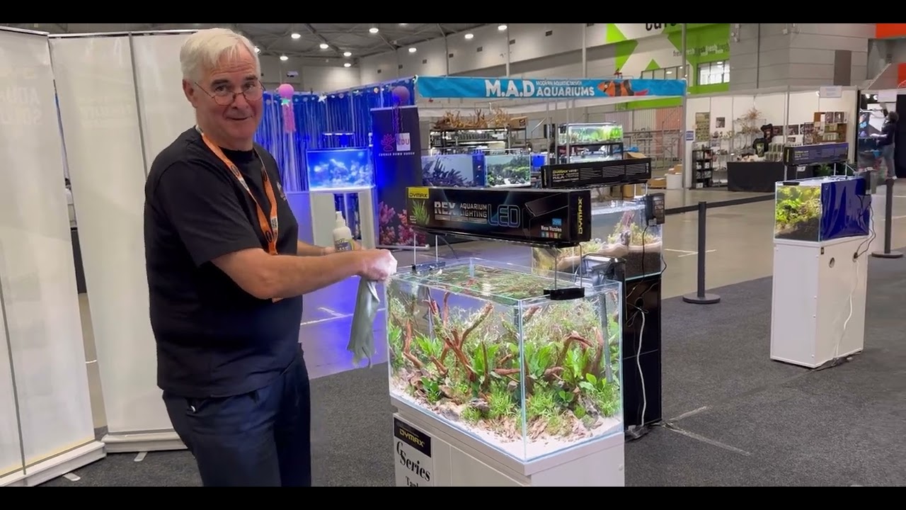 Walk through All the tanks for the Dymax aquascaping competition of 2024.