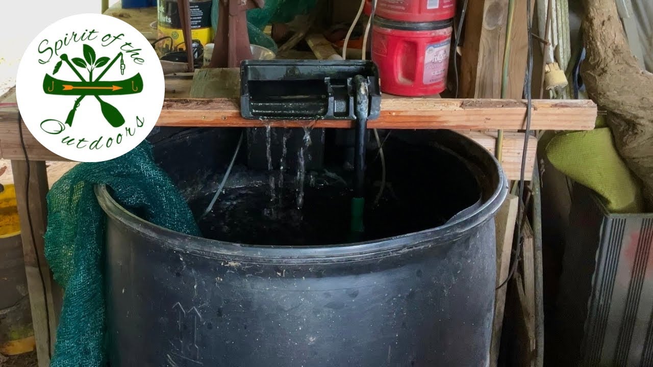 Redoing my Live Bait Tank and How to Catch More Bait